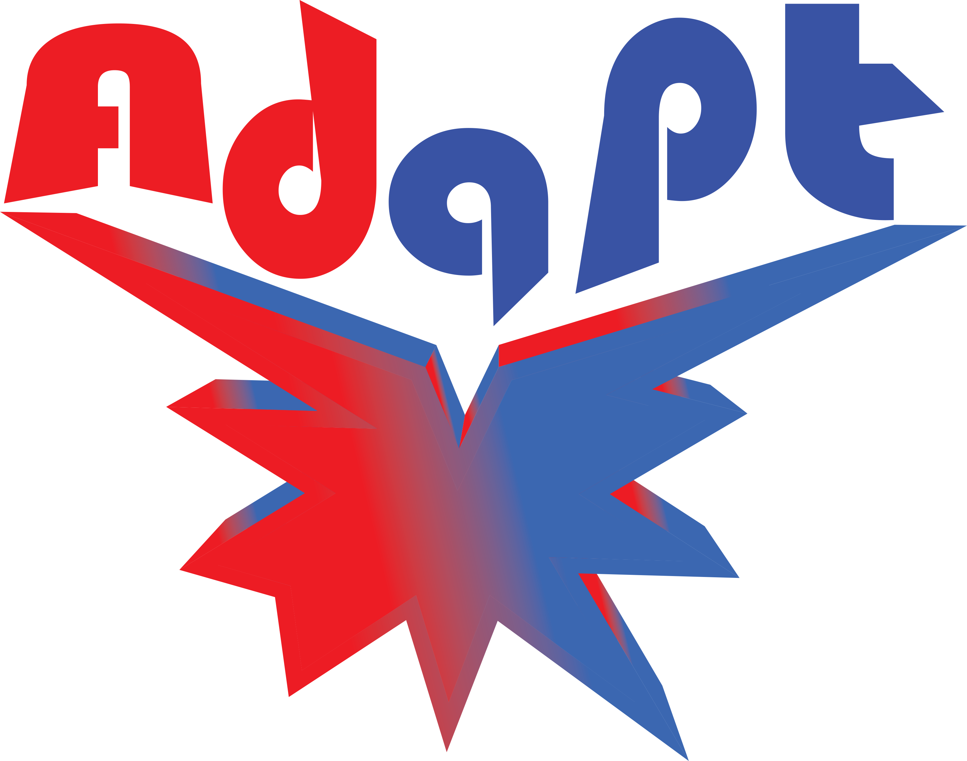 Disaster