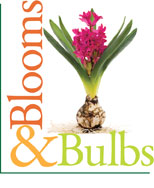 Bloooms & Bulbs logo